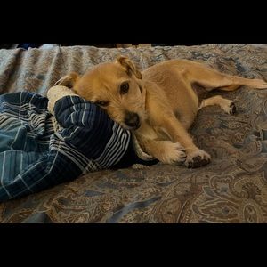 Meet your Posher, Kara